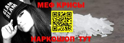 крисы Славгород