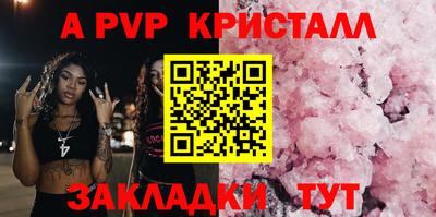 крисы Славгород
