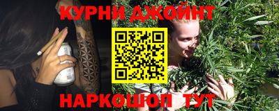 гидра Ставрополь