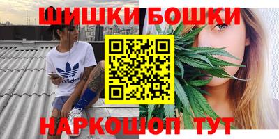крисы Славгород