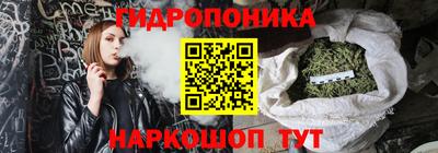 хмурый Сланцы