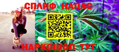 крисы Славгород