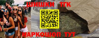 крисы Славгород