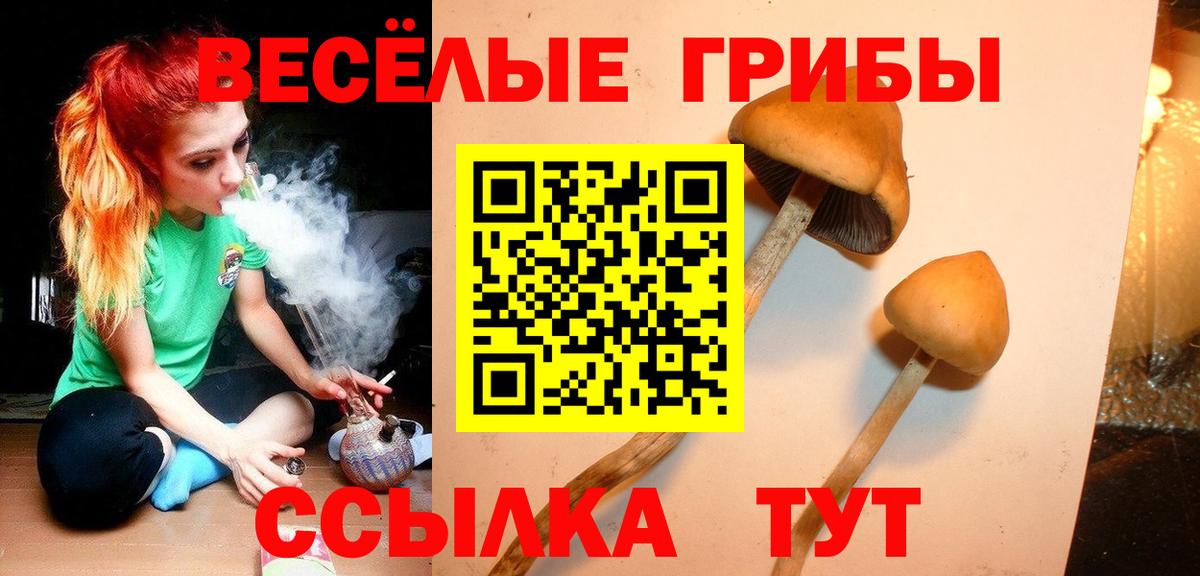 продажа наркотиков  Псилоцибиновые грибы Psilocybe  Вход с VPN  Отрадный 